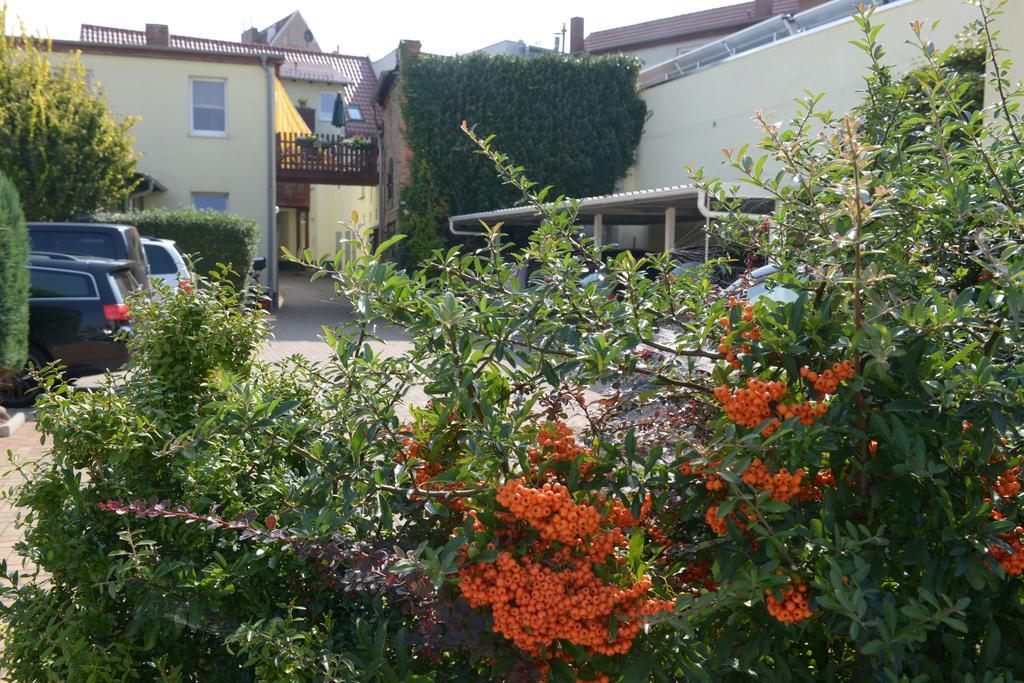 Hotel-Pension Mandy - Adults Only Senftenberg Εξωτερικό φωτογραφία